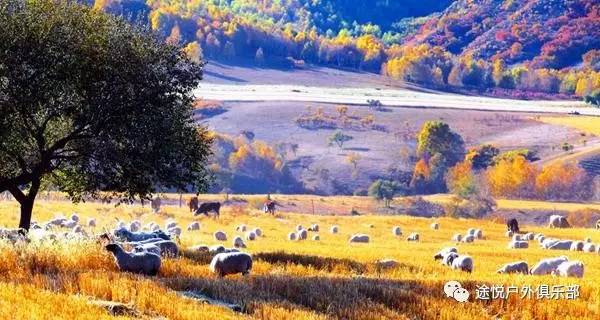 川西不为人知的沟谷,川西隐藏景点