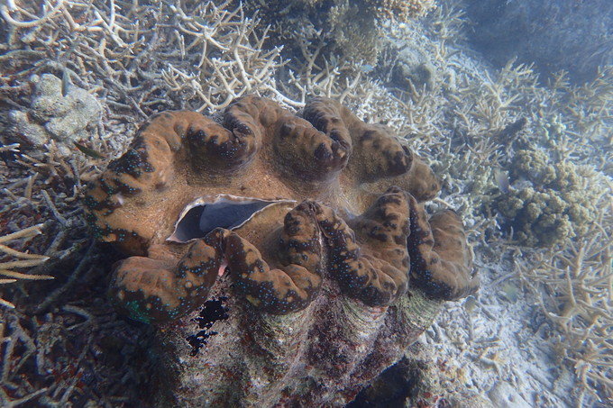 带着思念去旅行完整版,带着思念去海边