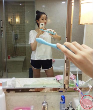 鎺ㄨ崘缁欑埍璞嗙殑濂界墿,绉嶈崏鐖辫眴鍚屾濂界墿