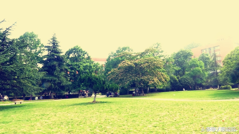 合肥中科大附属中学在哪,合肥中科大附属中学是公立学校吗