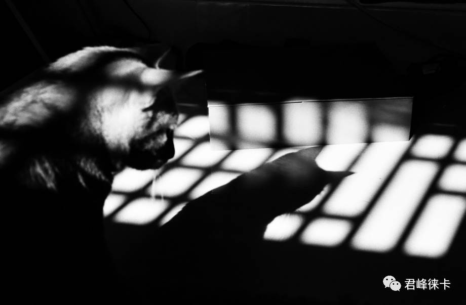 都说50mm是一生中必须拥有的镜头,但怎样才能用好它?