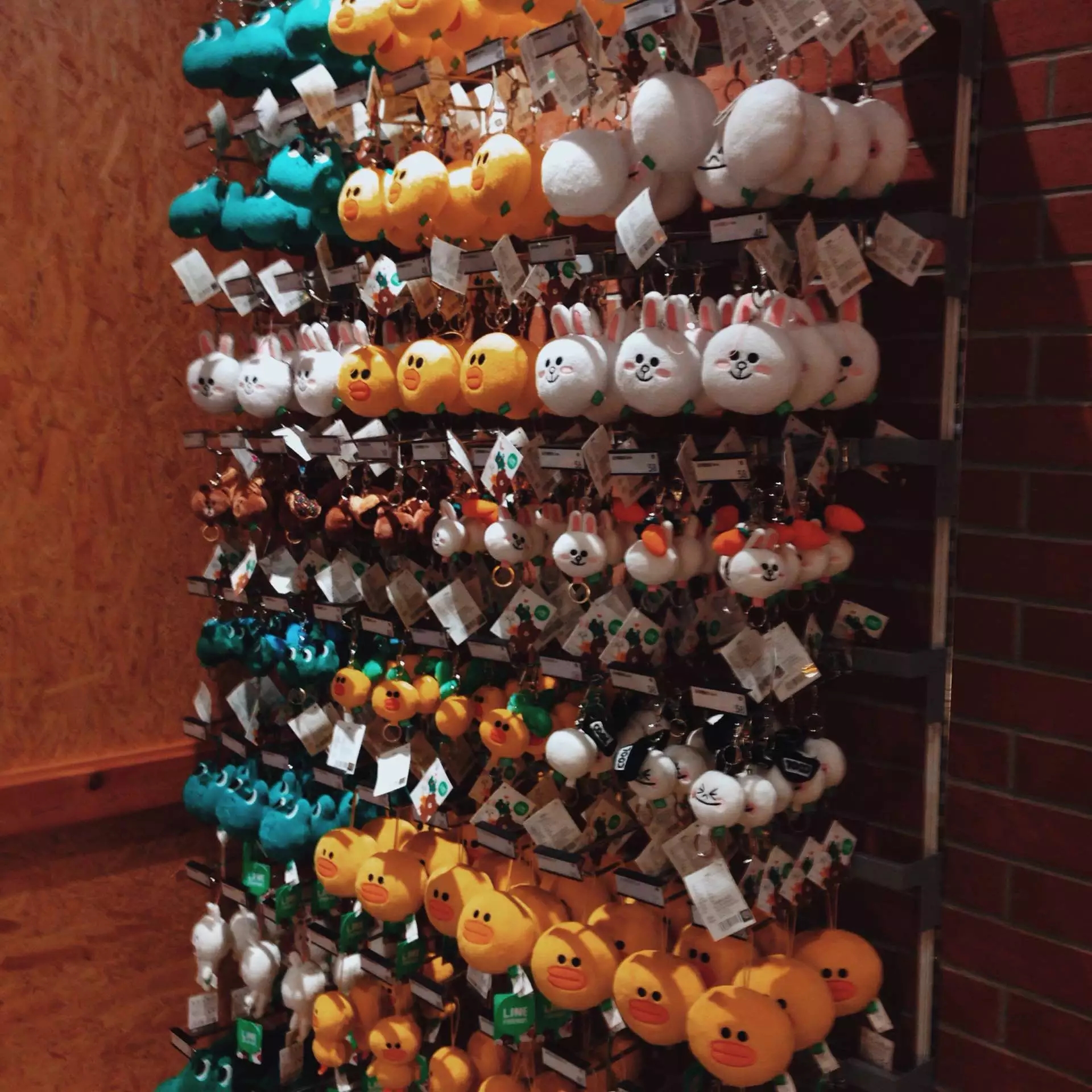 喜欢布朗熊可妮兔的你快看过来！