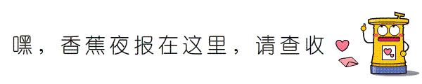 连雨伞都如此有身段,下雨天不带它们出门都说不过去!