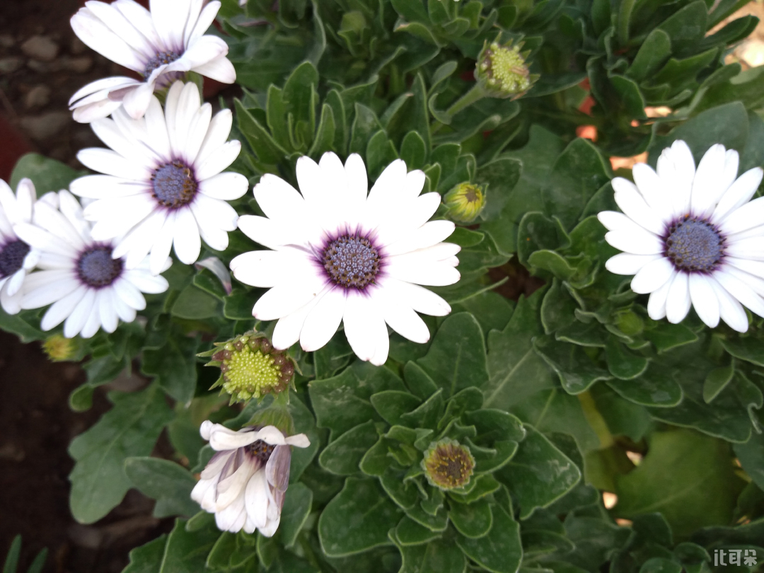 测评360n5,360n5s手机全评测