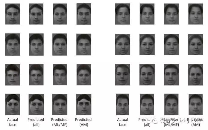读心术、刷脑纹关于脑电波的这些电影情节竟然是真的！
