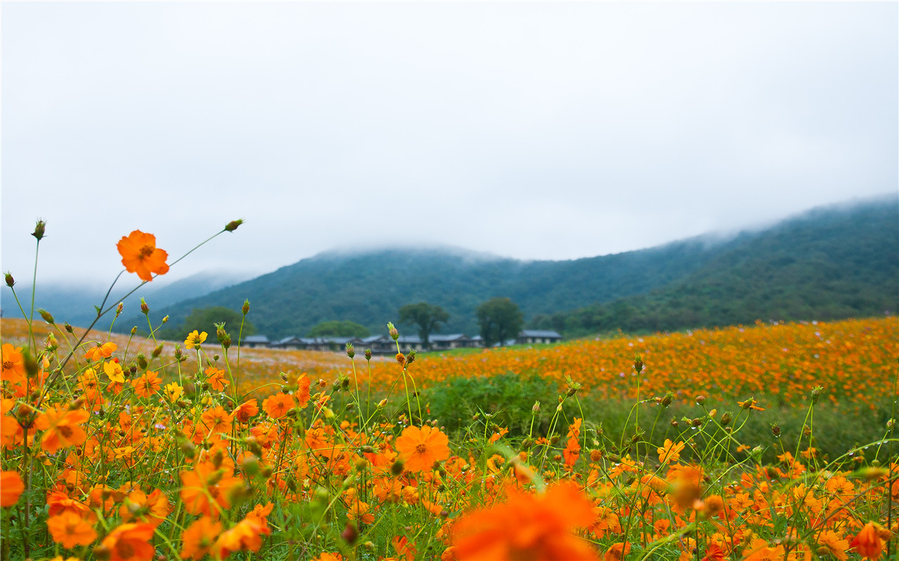 清风和煦，十里芳华，无锡灵山君来波罗蜜多酒店