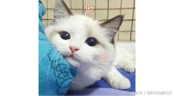 夏天到了，没有一瓶撩人香水怎么当仙女？