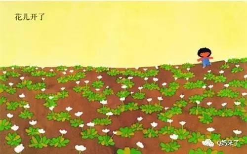 五味太郎的作品,五味太郎绘本完整版