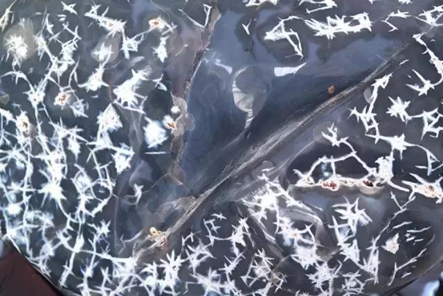 丹麦女王穿祖母绿珠宝,丹麦王妃的珠宝