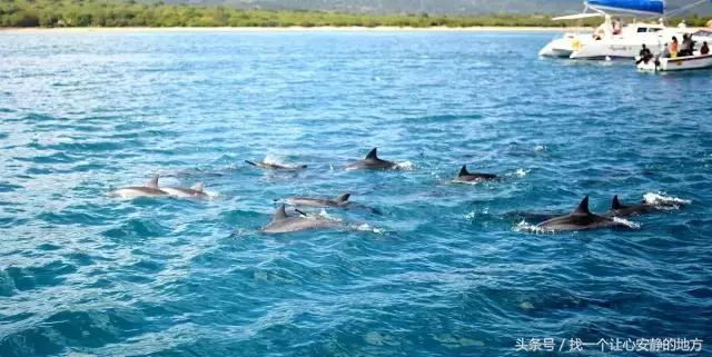 怎样玩遍毛里求斯,到了毛里求斯要怎么玩