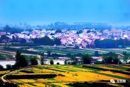 百色发展最好的镇,百色市乡村振兴重点县是哪些