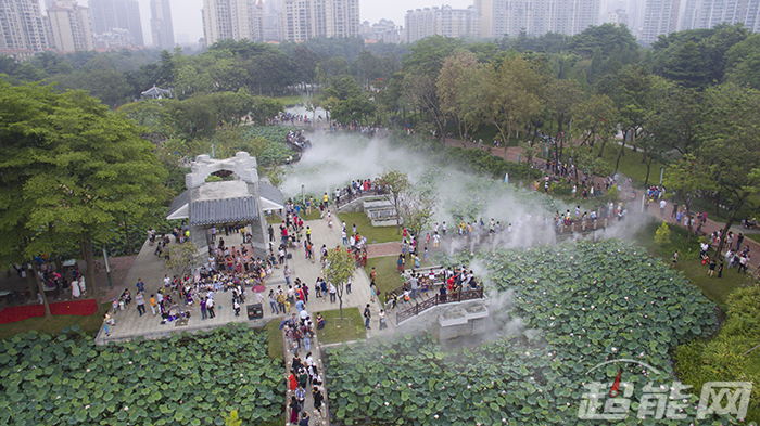 大疆无人机phantom3se新手,djiphantom3professional