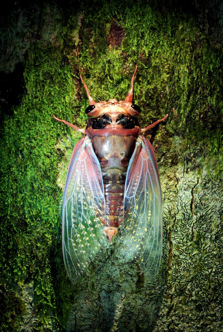 世界物种基因库在什么地方,探秘人类基因