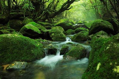 日本绝景精选,日本十大美景排行榜