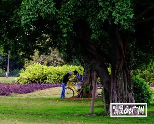 广州最新最美最好玩的景点,广州最值得去玩的景点推荐一下