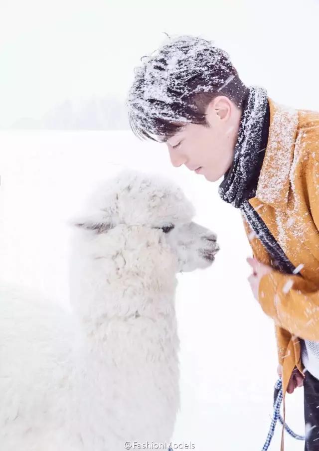 胡霍cp组合图片,胡霍霍cp动图