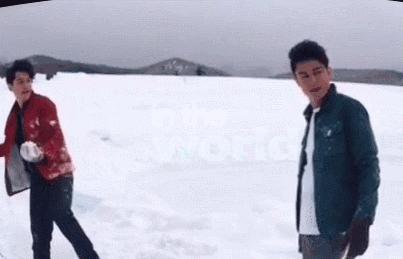 胡霍cp组合图片,胡霍霍cp动图