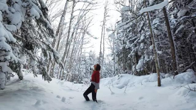 胡霍cp组合图片,胡霍霍cp动图