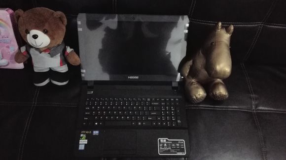 6g独显显卡能打csgo吗,6g独显32g内存笔记本电脑