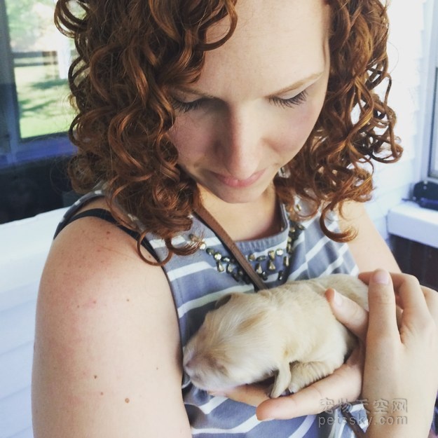 金毛牙不齐,金毛牙齿不齐视频