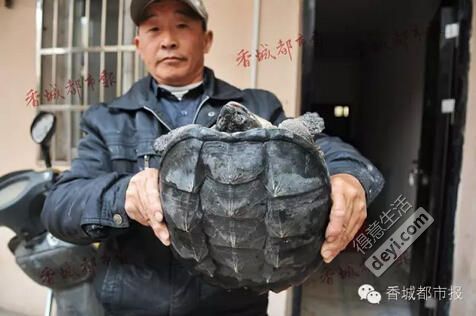 武汉女学生跑步猝死,武汉女生猝死