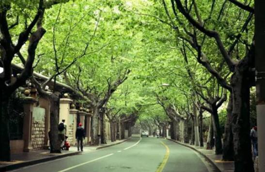 对不起，我要去上海新东方，别再找我了！