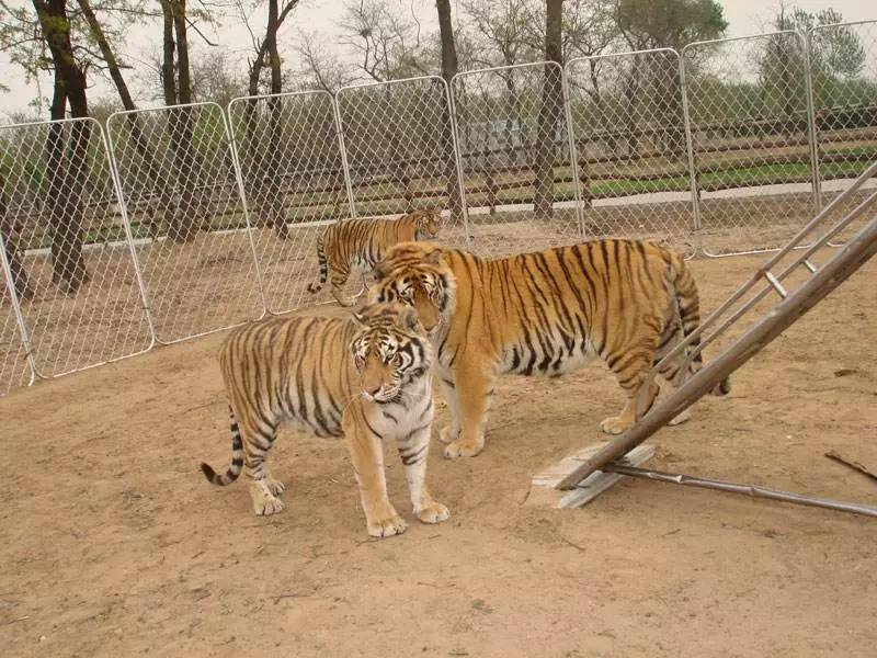 河北带孩子去最好玩的游乐场,河北最大的儿童室内游乐场