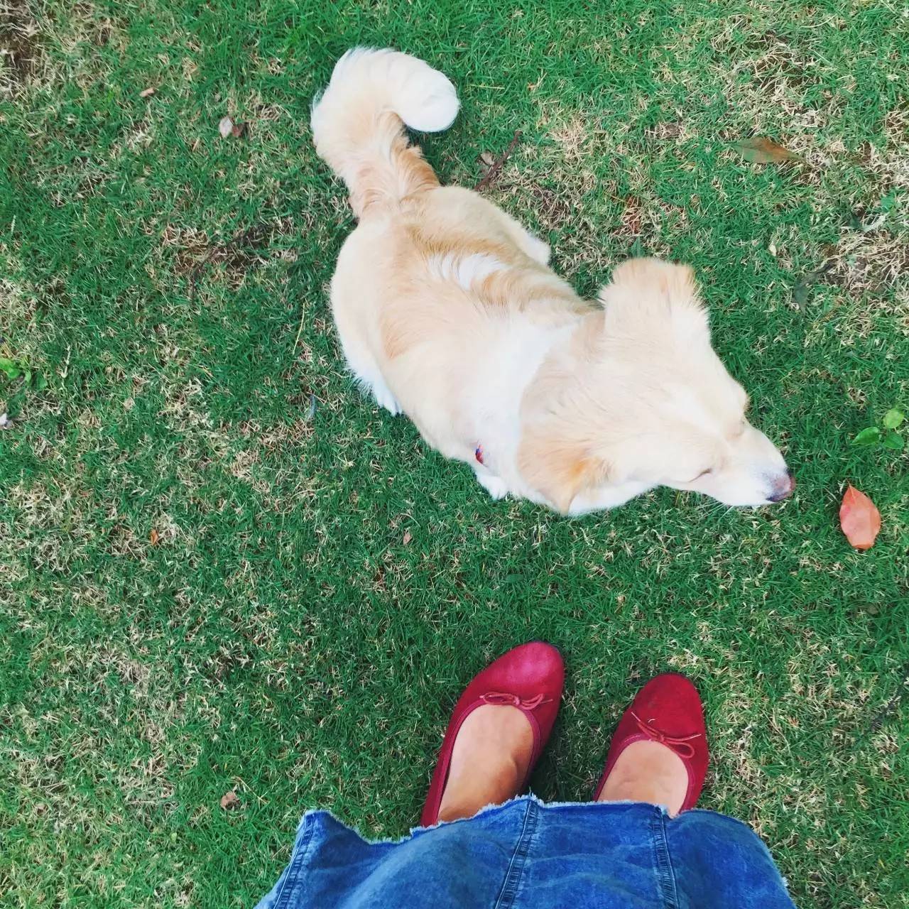 假期结束后的一波好用不贵小物推荐Vol.11+很多很多好书好剧好音乐