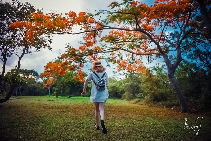 2017台北高雄垦丁花莲之旅,台北花莲垦丁自由行攻略