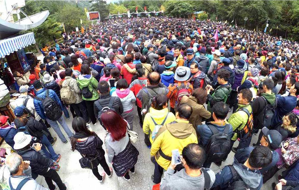 智能卡市场前景如何,智能卡哪个平台好用