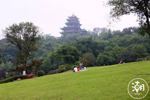 重庆桂花园景点,重庆桂花公园免费