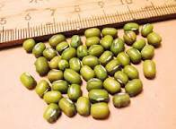 绿豆不能用铁锅煮,铁锅煮绿豆的危害