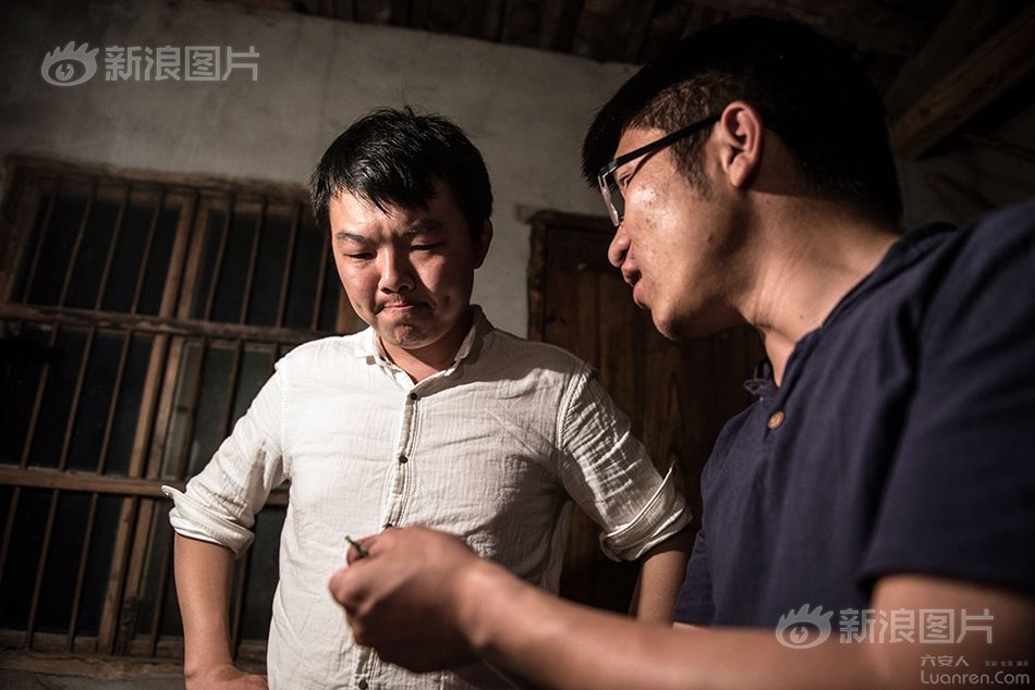 六安瓜片纯手工制作,新茶六安瓜片手工