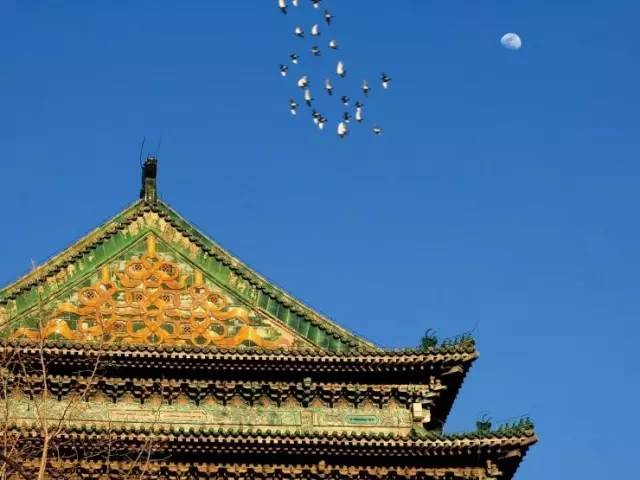 北京人的性格特点优缺点,北京人的四个特征是什么