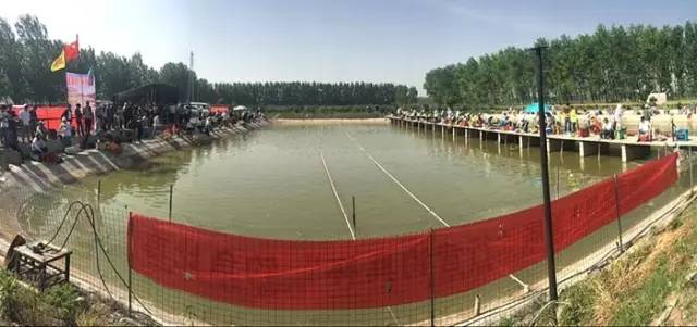 沁阳钓鱼比赛,河南永城垂钓比赛