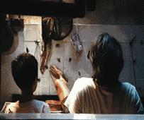 怎么对付蟑螂和蚊子和蚂蚁,家里有蟑螂蚂蚁蚊子老鼠一招消灭