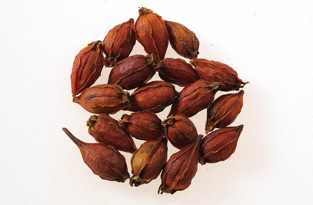 尿酸偏高的原因及食谱,尿酸高吃什么食物能降尿酸高