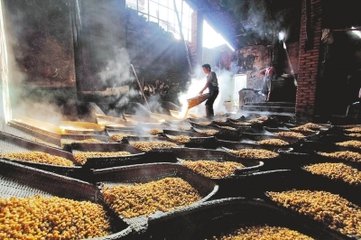 白酒酿酒工艺流程动画,酱香型白酒酿造工艺流程图解