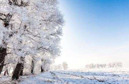 中国大学最多的十座城市,中国最多大学的城市排名前十