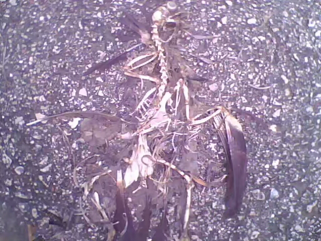 菱行（环中原骑行）5/21篇江西景德镇——浙江杭州