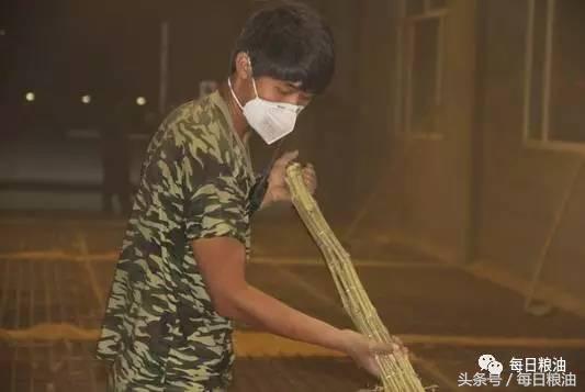 金沙河挂面是面粉起家吗,金沙河鸡蛋挂面纯小麦