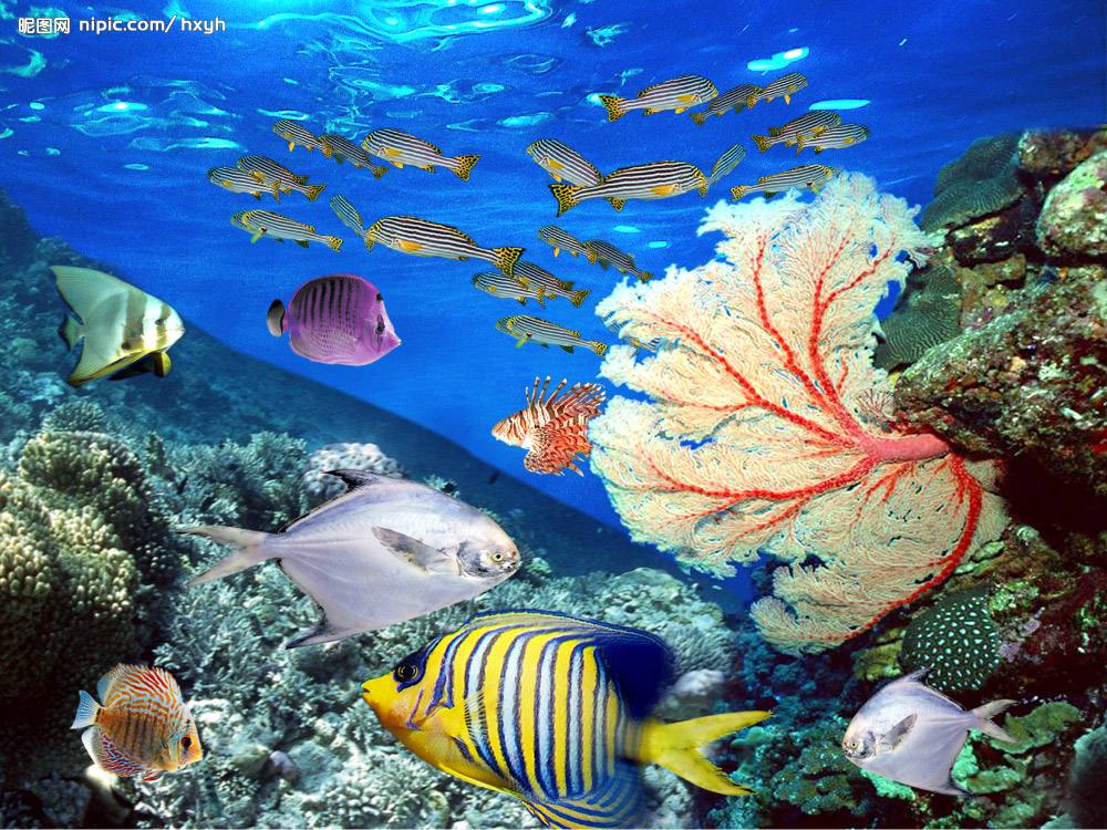 家中鱼缸风水作用大全图,鱼缸的风水作用与功效