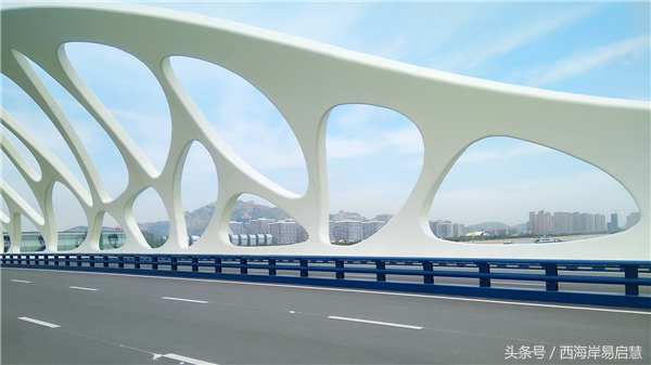 大美青岛之珊瑚贝桥,高清青岛珊瑚贝桥夜景