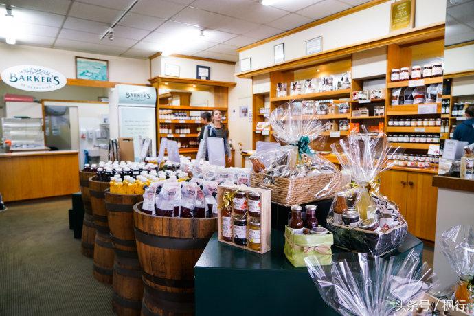 新西兰星空小镇最全攻略,新西兰tekapo旅游攻略