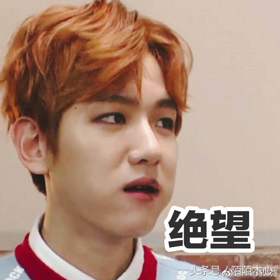 exo伯贤cbx,exocbx小分队