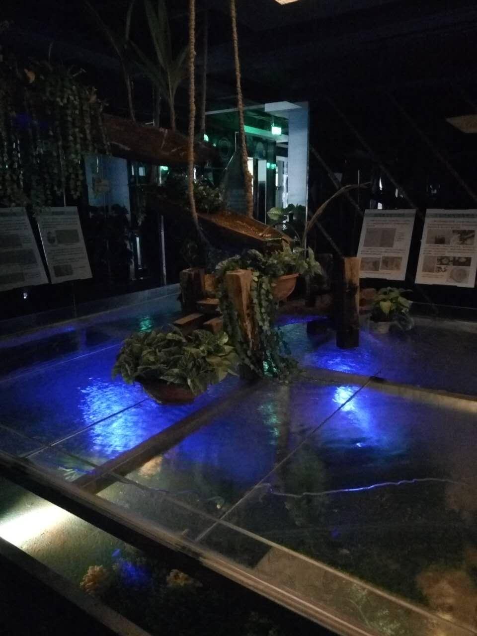 蔚蓝色的邂逅,皇马假日南海博物馆酒店早餐