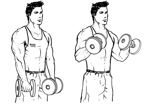 怎么专门锻炼你的小臂，让整条手臂充满力量？