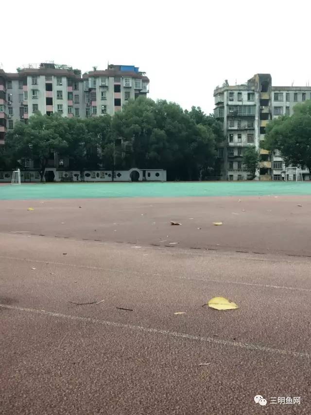 三明市高考现场视频,三明高考第一天