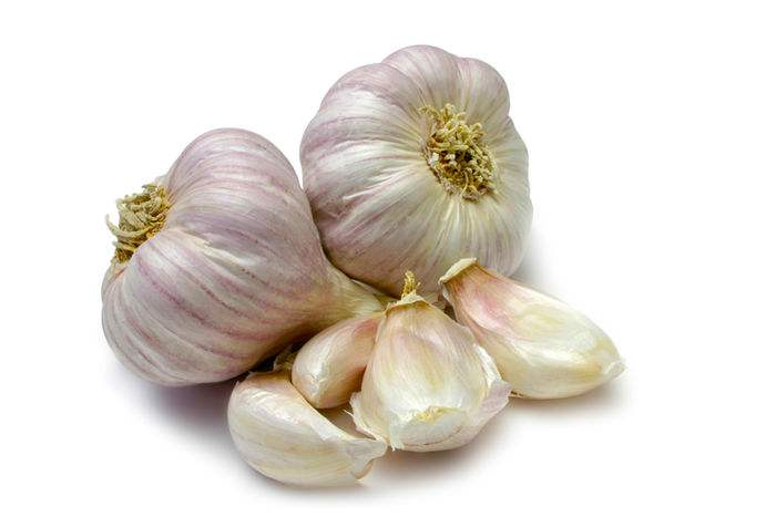 阳台种菜飞虫怎么去除无毒无害,阳台种菜有很多小飞虫杀虫剂