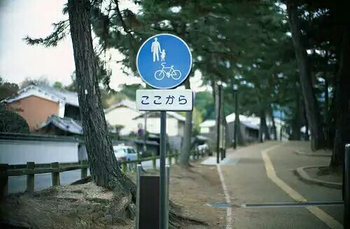 放弃谁都可以千万不要放弃自己,放弃任何东西也不要放弃自己